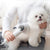 PETS HANDHELD BLOW HAIR DRYER COMB